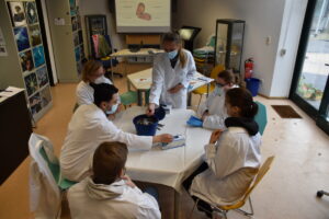 Schülerinnen und Schüler nehmen im food:labor die Miesmuschel genauer unter die Lupe