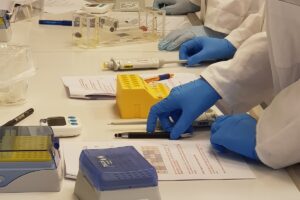 Im Angebot "Escherichia coli – Facetten eines Modellorganismus" vom life:labor lernen Oberstufenschülerinnen und -schüler auch die Arbeit in einem Labor kennen