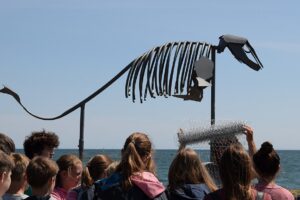 Gemiensam schaffen die Schülerinnen und Shcüler auf der Lotseninsel Environmelntal Art - hier in Form einer Schweinswal-Skulptur